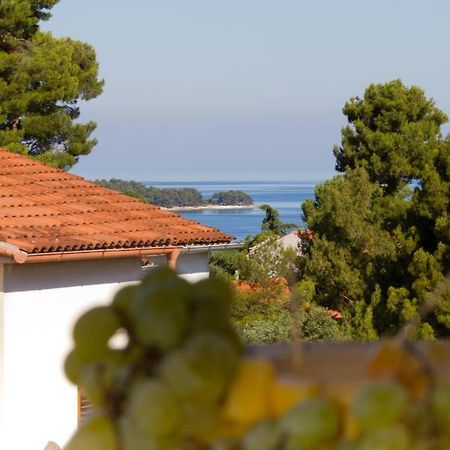 Studio Apartman Nega 2 Rovinj Exterior foto